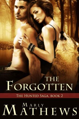 [The Hunted Saga 02] • The Forgotten